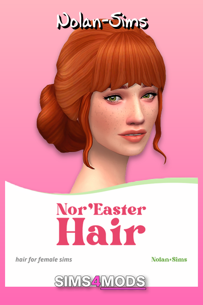 Nor'easter Hair - Stylish layered bangs, pretty bun, versatile.